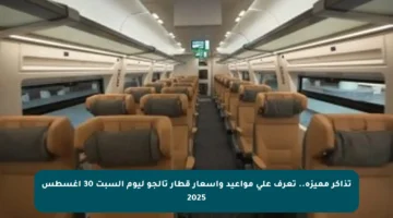 تذاكر مميزة.. تعرف على مواعيد وأسعار قطار تالجو ليوم السبت 30 أغسطس 2025